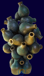 Vielfalt, in Form gebrachte Inspiration