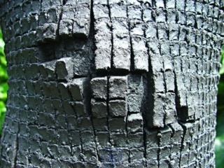 Raku-Arbeitsbeispiel